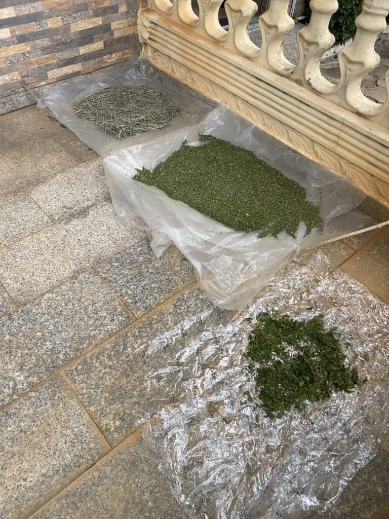 herbs with my other botanicals and oils