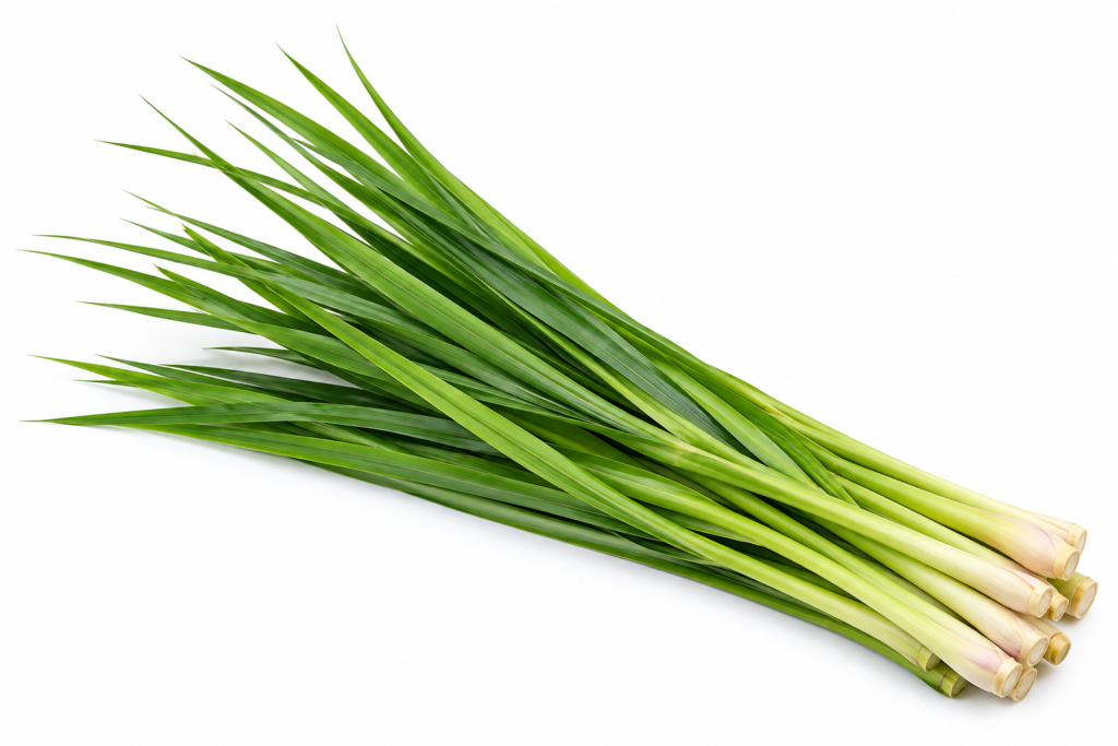Lemongrass