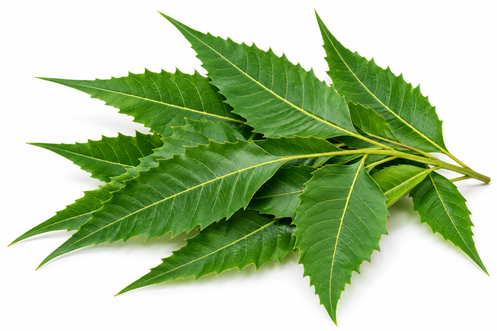 Neem